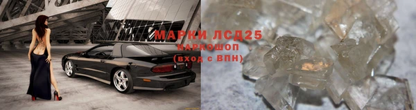 ешки Горняк