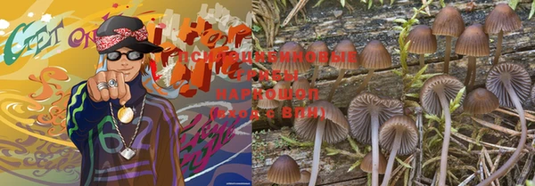 ешки Горняк