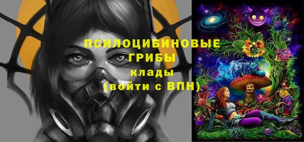 стафф Горно-Алтайск