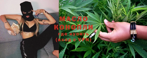ешки Горняк