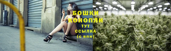 ешки Горняк