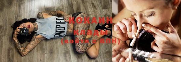 ешки Горняк