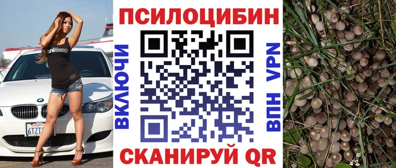 Купить закладки  Зеленодольск  Псилоцибиновые грибы мухоморы 