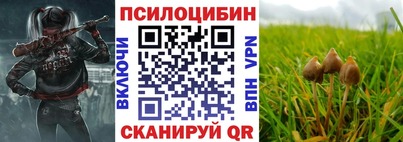 Галлюциногенные грибы мухоморы Зеленодольск